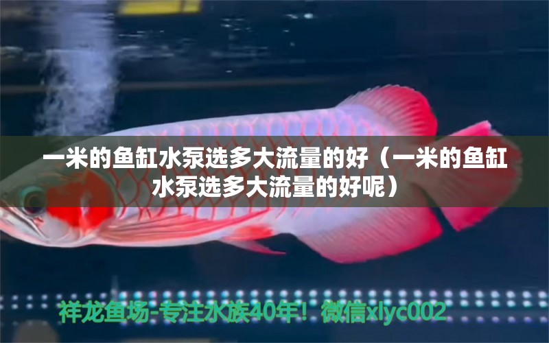 一米的魚缸水泵選多大流量的好（一米的魚缸水泵選多大流量的好呢）