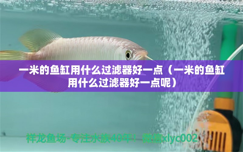 一米的魚缸用什么過濾器好一點（一米的魚缸用什么過濾器好一點呢）