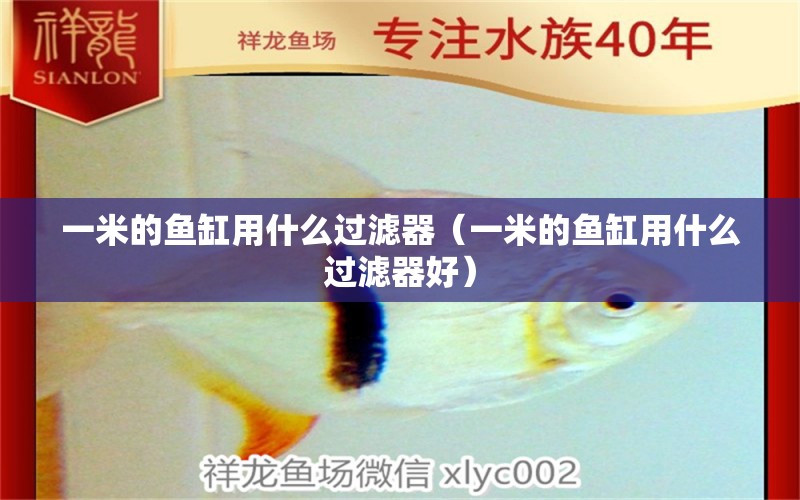 一米的魚缸用什么過濾器（一米的魚缸用什么過濾器好）