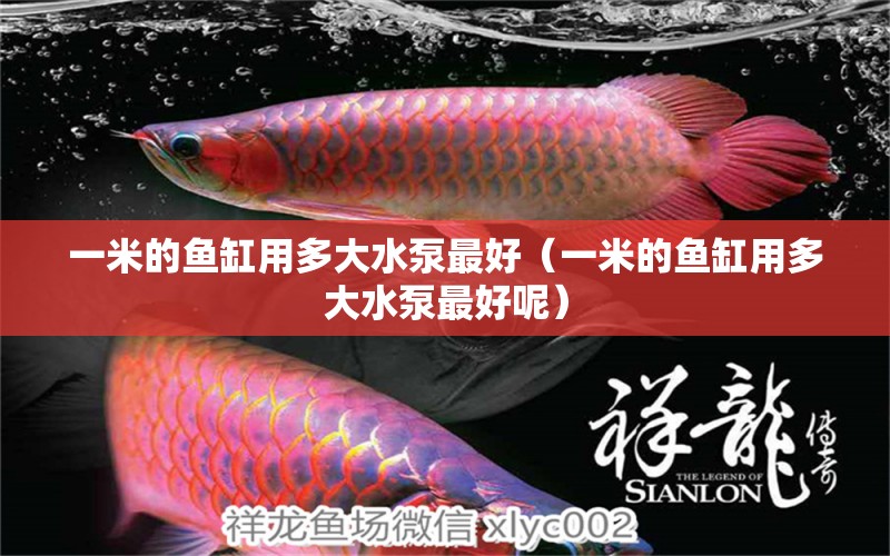 一米的魚缸用多大水泵最好（一米的魚缸用多大水泵最好呢）