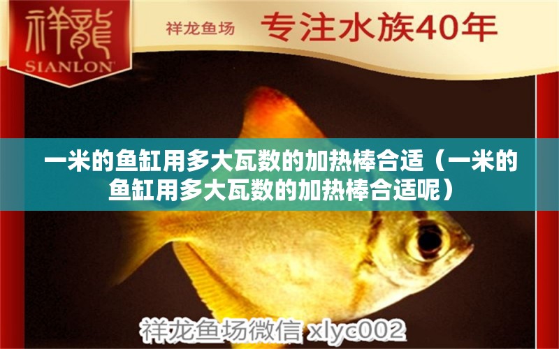 一米的魚缸用多大瓦數(shù)的加熱棒合適（一米的魚缸用多大瓦數(shù)的加熱棒合適呢）