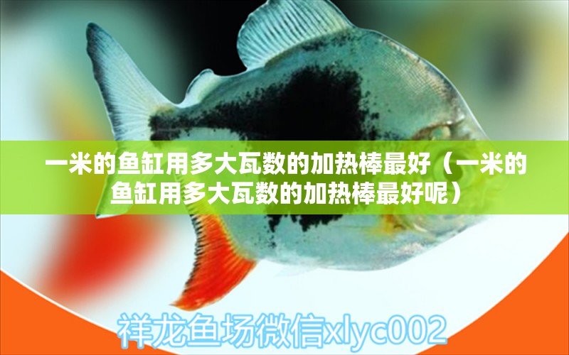 一米的魚缸用多大瓦數(shù)的加熱棒最好（一米的魚缸用多大瓦數(shù)的加熱棒最好呢） 魚缸百科