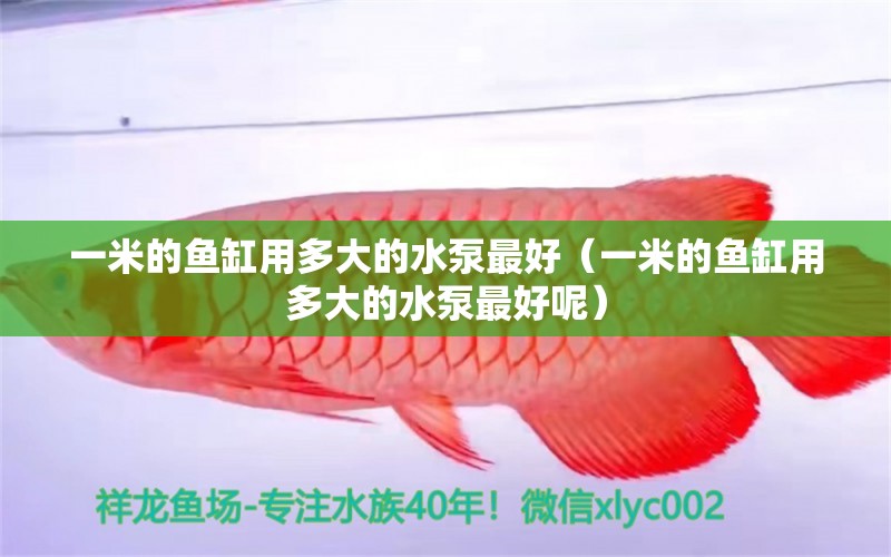 一米的魚缸用多大的水泵最好（一米的魚缸用多大的水泵最好呢）