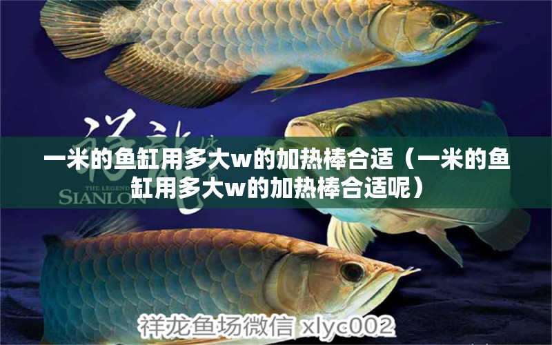 一米的魚(yú)缸用多大w的加熱棒合適（一米的魚(yú)缸用多大w的加熱棒合適呢） 魚(yú)缸百科