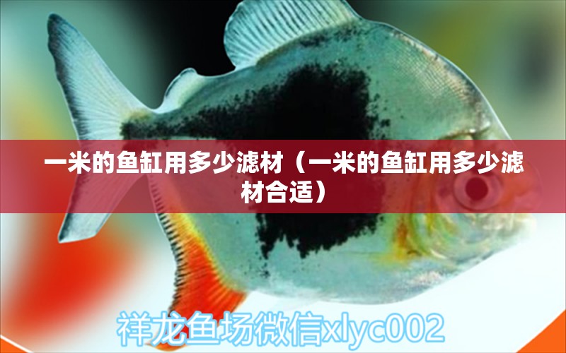 一米的魚缸用多少濾材（一米的魚缸用多少濾材合適）