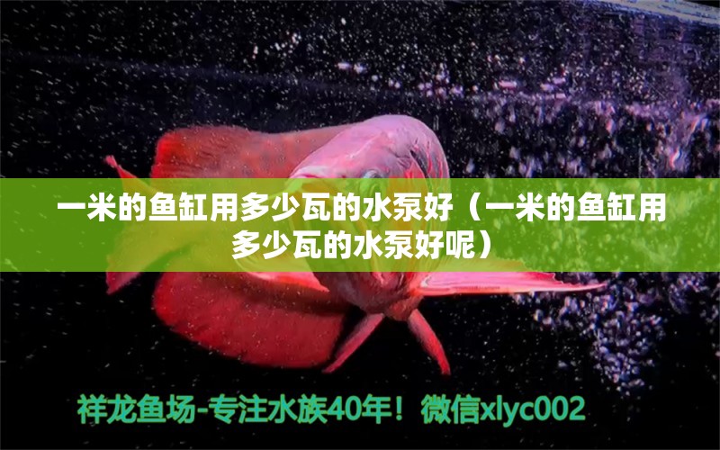 一米的魚缸用多少瓦的水泵好（一米的魚缸用多少瓦的水泵好呢）