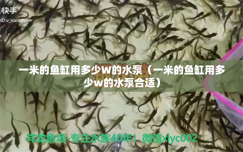 一米的魚缸用多少W的水泵（一米的魚缸用多少w的水泵合適） 其他品牌魚缸