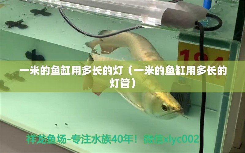 一米的魚缸用多長的燈（一米的魚缸用多長的燈管）