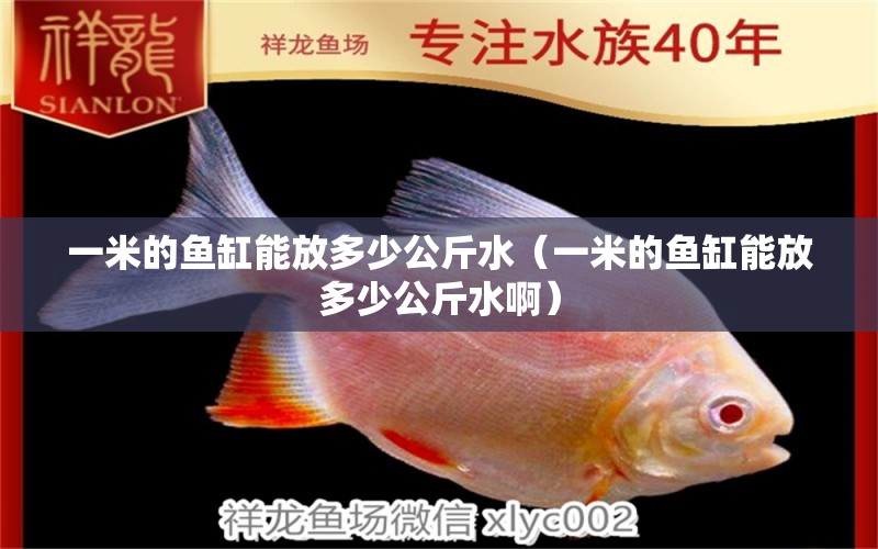 一米的魚缸能放多少公斤水（一米的魚缸能放多少公斤水?。? title=