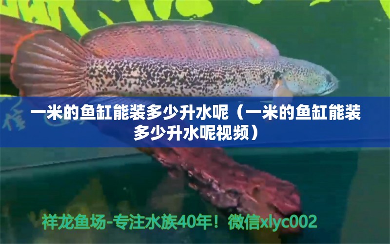 一米的魚缸能裝多少升水呢（一米的魚缸能裝多少升水呢視頻）