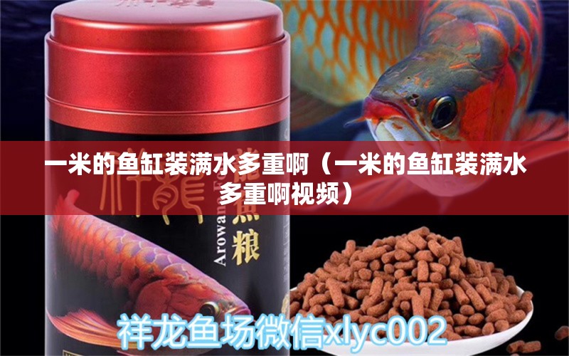 一米的魚缸裝滿水多重?。ㄒ幻椎聂~缸裝滿水多重啊視頻） 魚缸百科