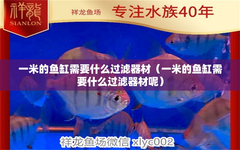 一米的魚缸需要什么過濾器材（一米的魚缸需要什么過濾器材呢）