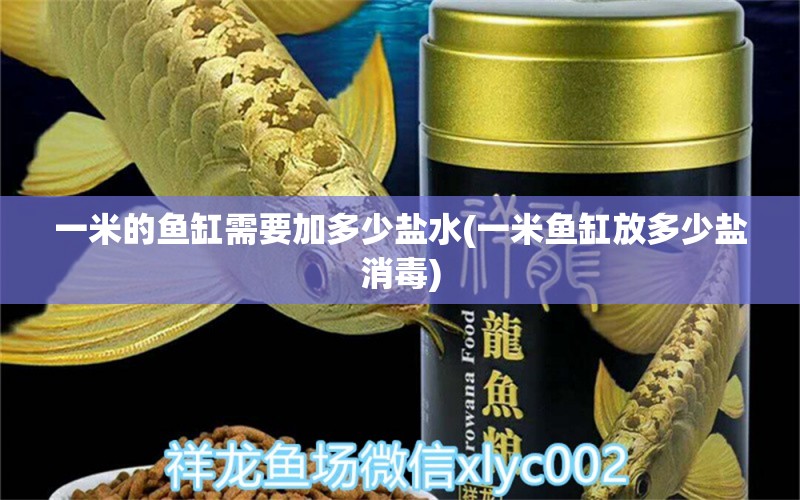 一米的魚缸需要加多少鹽水(一米魚缸放多少鹽消毒)