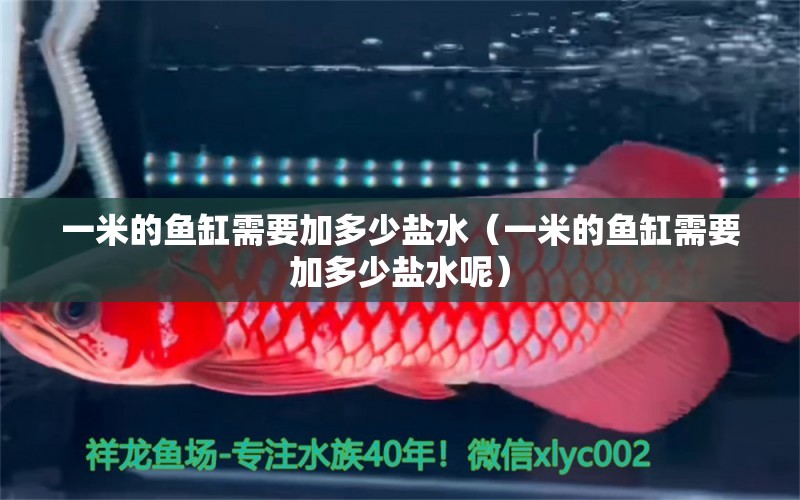 一米的魚缸需要加多少鹽水（一米的魚缸需要加多少鹽水呢）