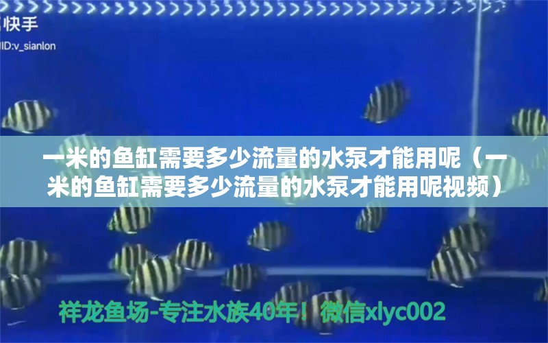 一米的魚缸需要多少流量的水泵才能用呢（一米的魚缸需要多少流量的水泵才能用呢視頻）