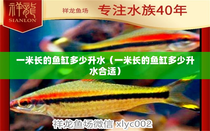 一米長的魚缸多少升水（一米長的魚缸多少升水合適）