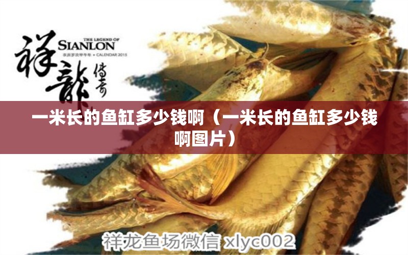 一米長的魚缸多少錢啊（一米長的魚缸多少錢啊圖片）