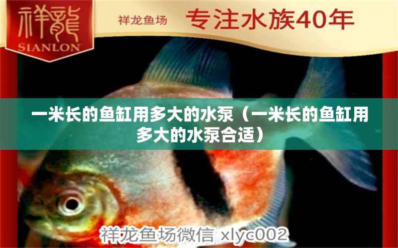 一米長的魚缸用多大的水泵（一米長的魚缸用多大的水泵合適）