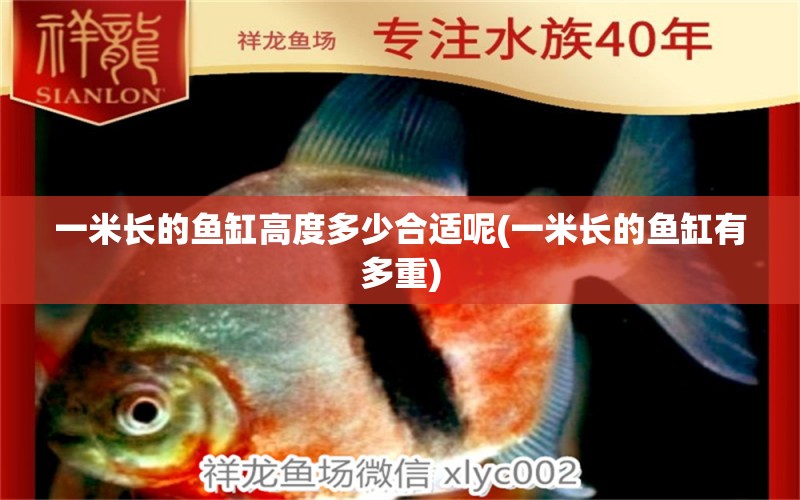 一米長(zhǎng)的魚缸高度多少合適呢(一米長(zhǎng)的魚缸有多重) 綠皮辣椒小紅龍 第1張