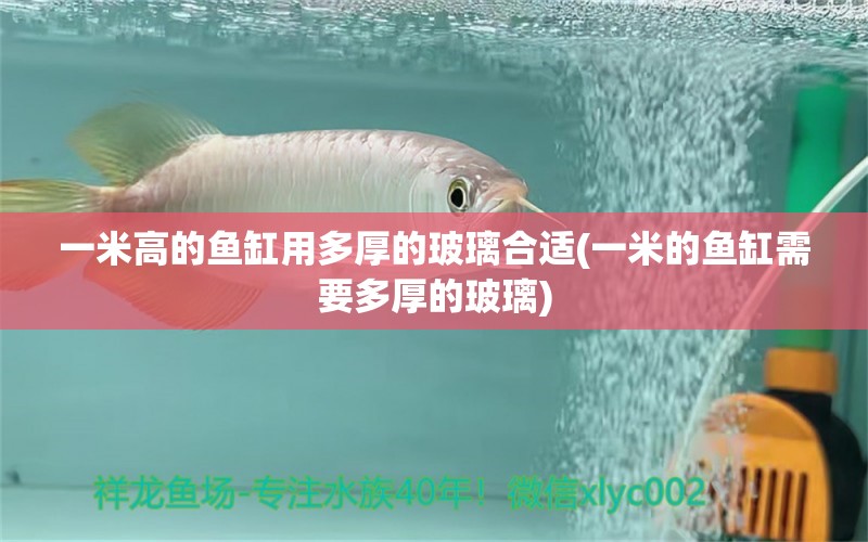 一米高的魚缸用多厚的玻璃合適(一米的魚缸需要多厚的玻璃) 戰(zhàn)車紅龍魚