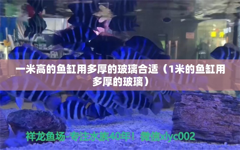 一米高的魚缸用多厚的玻璃合適（1米的魚缸用多厚的玻璃） 水族雜談