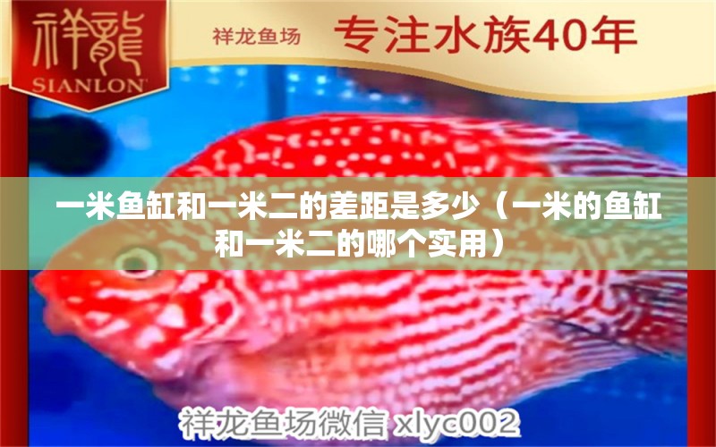 一米魚缸和一米二的差距是多少（一米的魚缸和一米二的哪個實(shí)用）