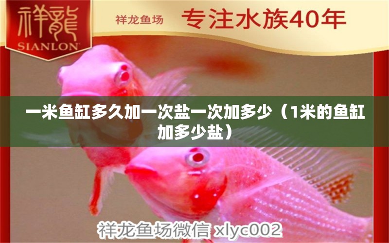 一米魚缸多久加一次鹽一次加多少（1米的魚缸加多少鹽） 其他品牌魚缸