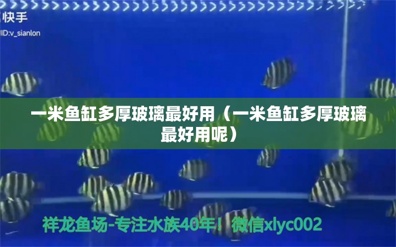 一米魚缸多厚玻璃最好用（一米魚缸多厚玻璃最好用呢）