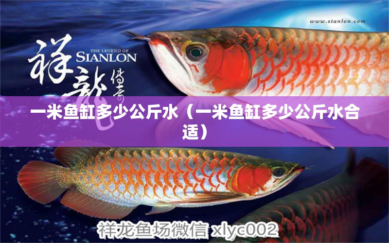 一米魚(yú)缸多少公斤水（一米魚(yú)缸多少公斤水合適）