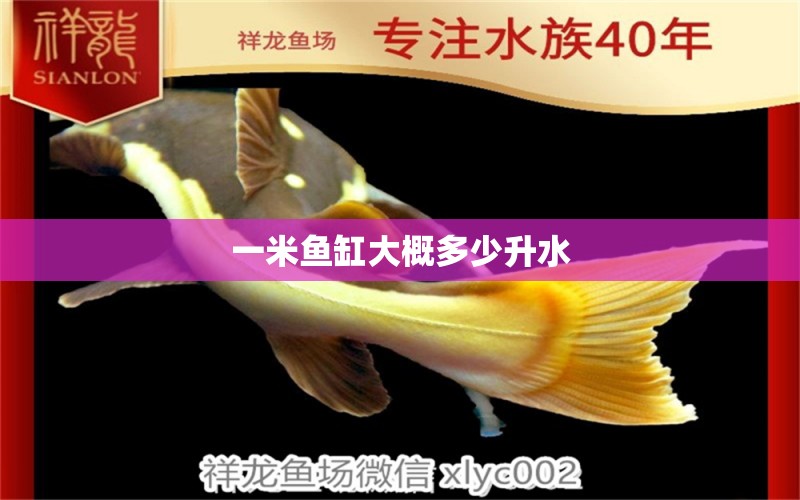 一米魚(yú)缸大概多少升水 祥龍魚(yú)場(chǎng)