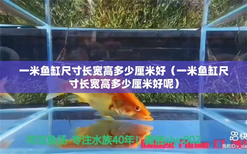 一米魚缸尺寸長寬高多少厘米好（一米魚缸尺寸長寬高多少厘米好呢）