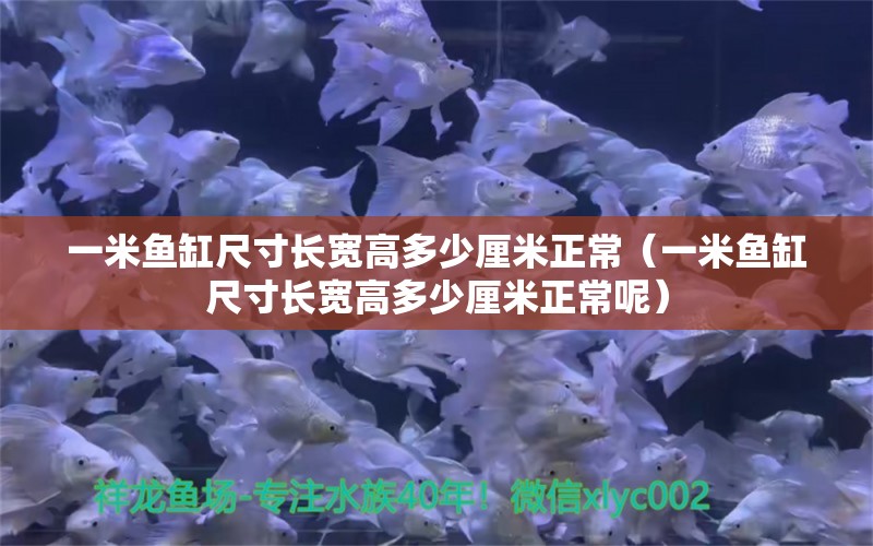 一米魚缸尺寸長寬高多少厘米正常（一米魚缸尺寸長寬高多少厘米正常呢） 其他品牌魚缸