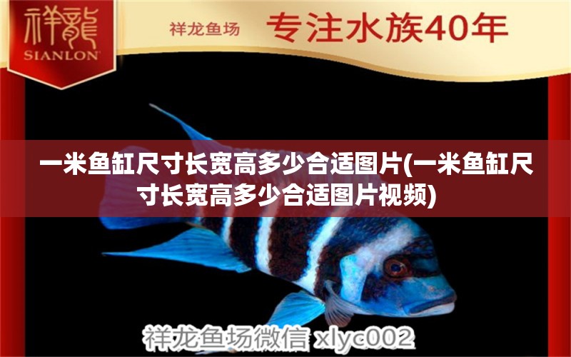 一米魚缸尺寸長寬高多少合適圖片(一米魚缸尺寸長寬高多少合適圖片視頻) 定時器/自控系統(tǒng) 第1張