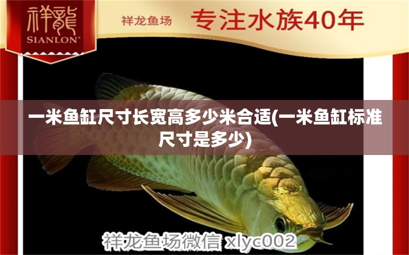 一米魚缸尺寸長寬高多少米合適(一米魚缸標(biāo)準(zhǔn)尺寸是多少)