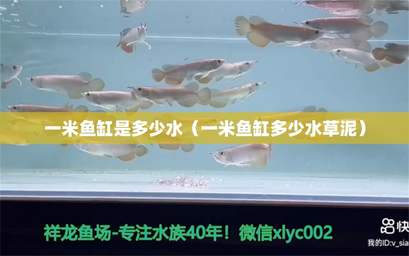 一米魚缸是多少水（一米魚缸多少水草泥） 水草