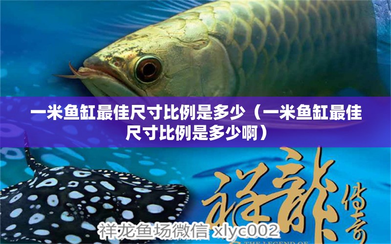 一米魚缸最佳尺寸比例是多少（一米魚缸最佳尺寸比例是多少?。? title=