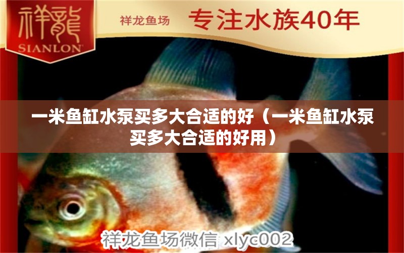 一米魚(yú)缸水泵買多大合適的好（一米魚(yú)缸水泵買多大合適的好用）