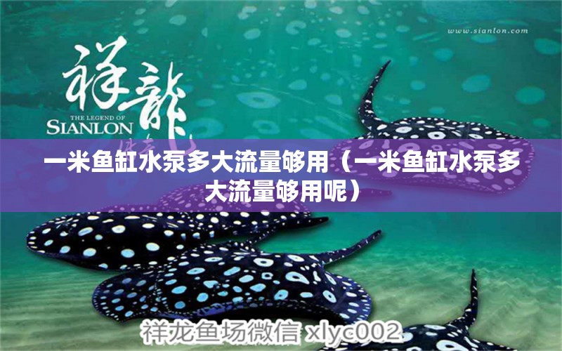 一米魚(yú)缸水泵多大流量夠用（一米魚(yú)缸水泵多大流量夠用呢） 魚(yú)缸水泵