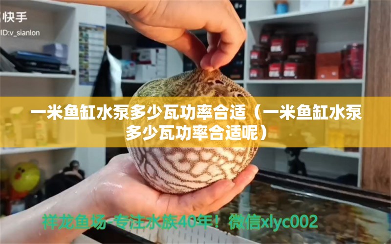 一米魚缸水泵多少瓦功率合適（一米魚缸水泵多少瓦功率合適呢） 魚缸水泵