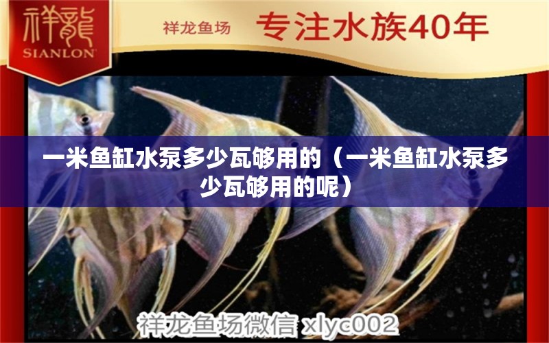 一米魚(yú)缸水泵多少瓦夠用的（一米魚(yú)缸水泵多少瓦夠用的呢） 魚(yú)缸水泵