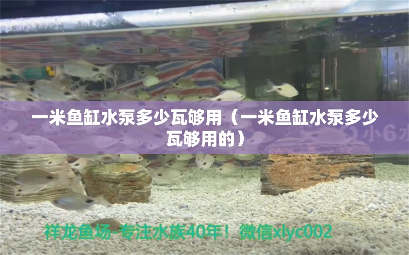 一米魚缸水泵多少瓦夠用（一米魚缸水泵多少瓦夠用的）