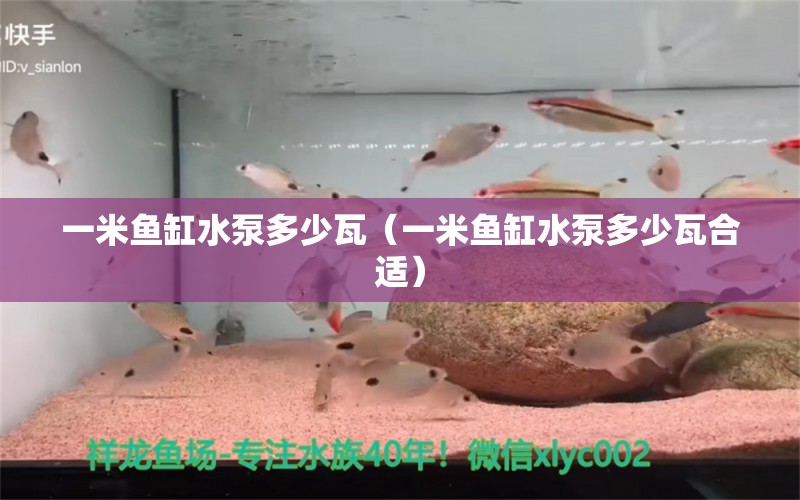 一米魚缸水泵多少瓦（一米魚缸水泵多少瓦合適）