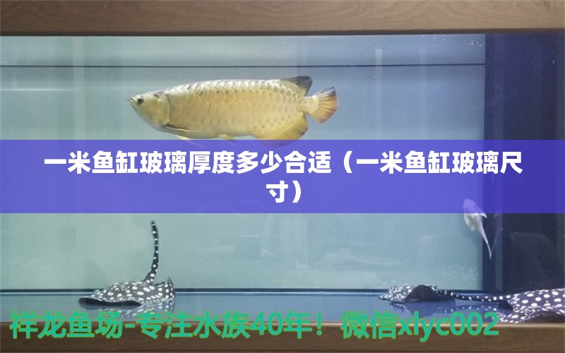 一米魚缸玻璃厚度多少合適（一米魚缸玻璃尺寸） 養(yǎng)魚知識