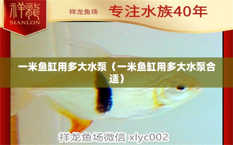 一米魚缸用多大水泵（一米魚缸用多大水泵合適） 魚缸百科