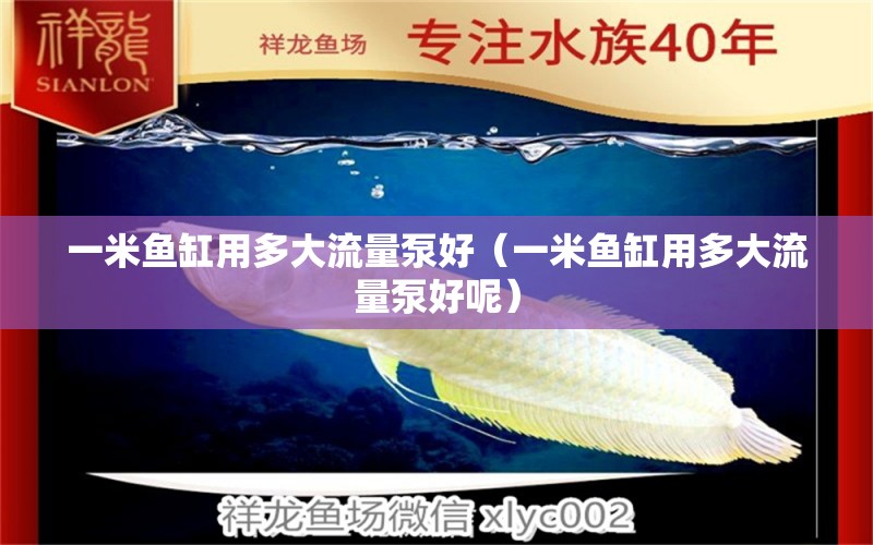 一米魚缸用多大流量泵好（一米魚缸用多大流量泵好呢）