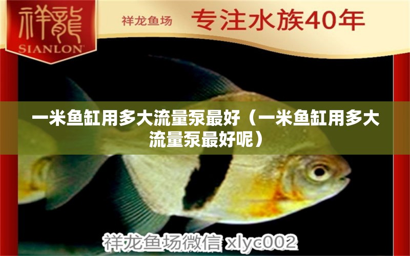 一米魚(yú)缸用多大流量泵最好（一米魚(yú)缸用多大流量泵最好呢）