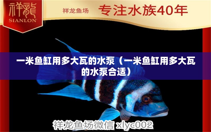 一米魚缸用多大瓦的水泵（一米魚缸用多大瓦的水泵合適）