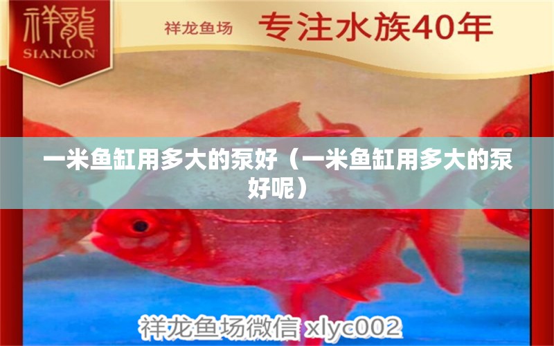 一米魚缸用多大的泵好（一米魚缸用多大的泵好呢）