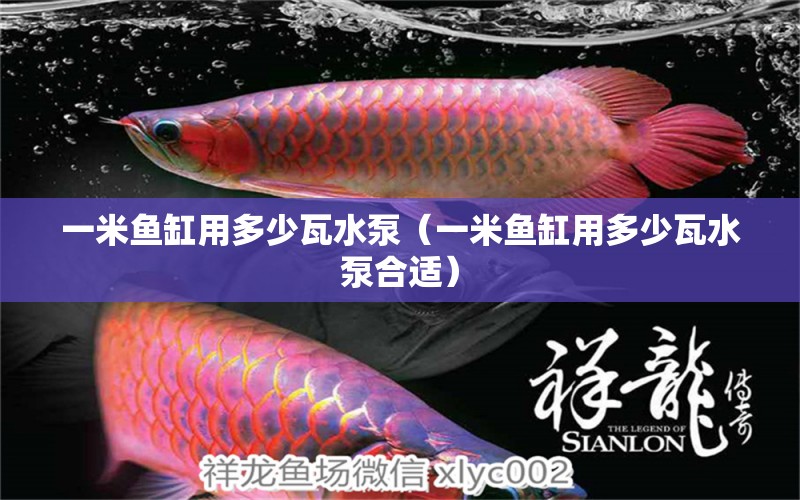 一米魚缸用多少瓦水泵（一米魚缸用多少瓦水泵合適）