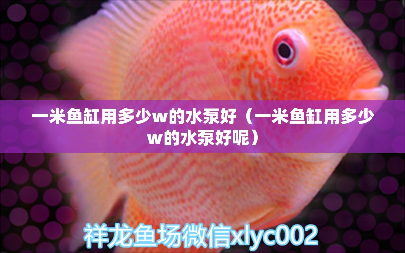 一米魚缸用多少w的水泵好（一米魚缸用多少w的水泵好呢）